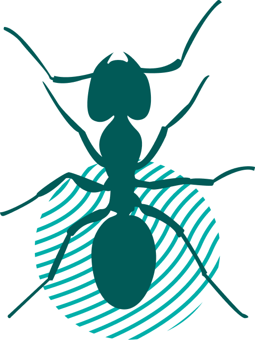ant vector