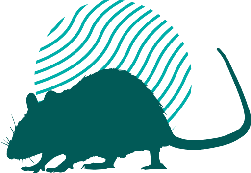 rat vector